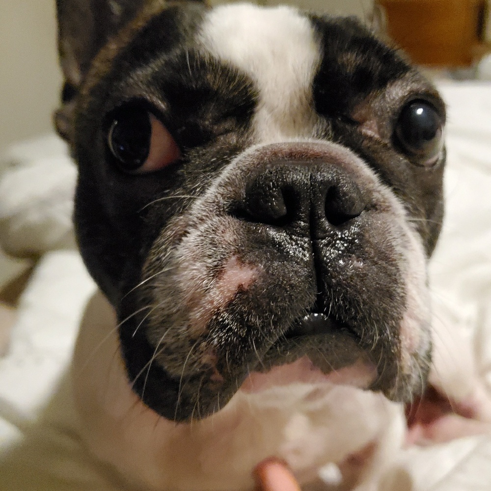 Meet your Posher, Mary